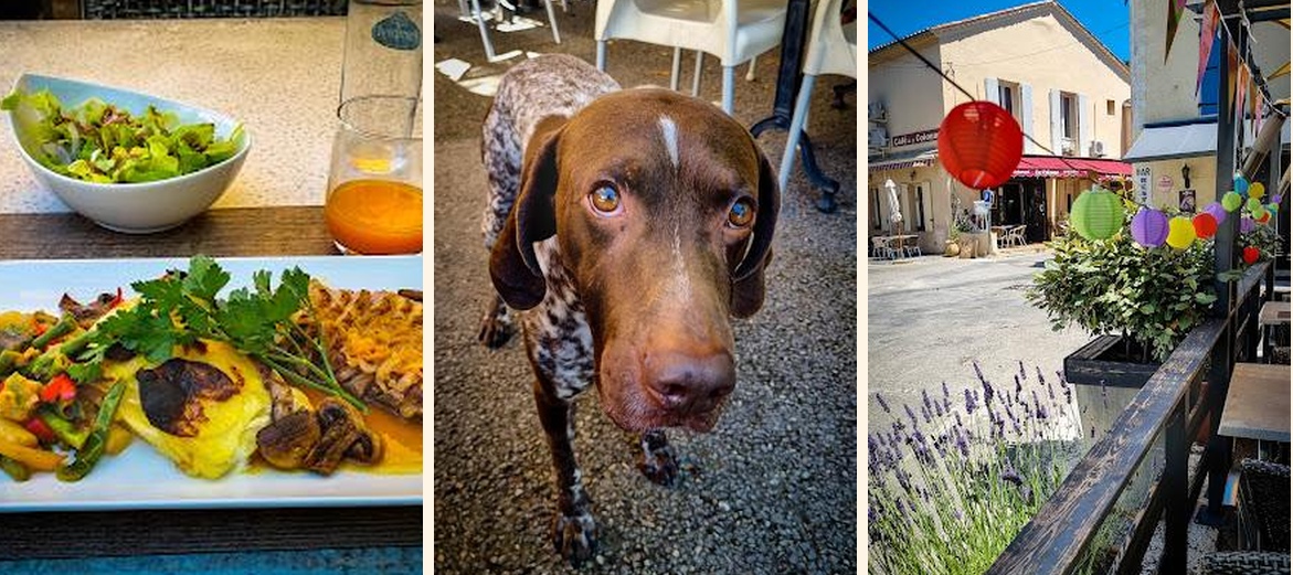 Le Relais de Lavande - Gallery Image 4