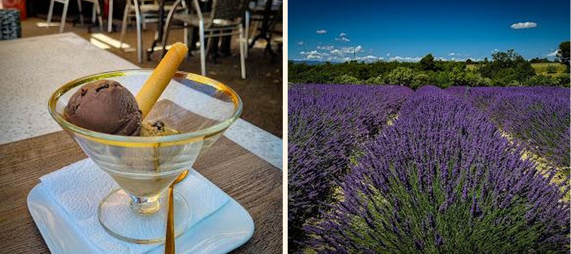 Le Relais de Lavande - Gallery Image 5